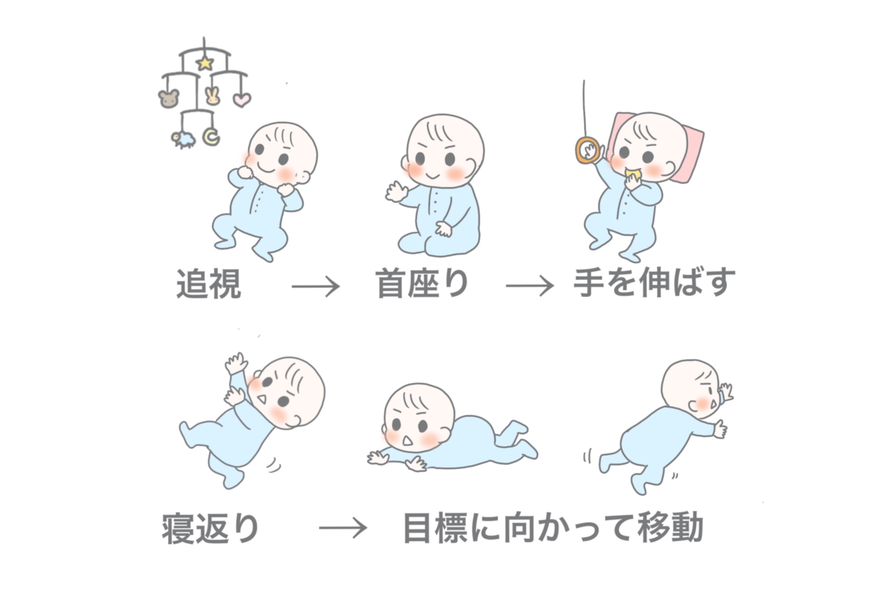 赤ちゃんが動き出す過程